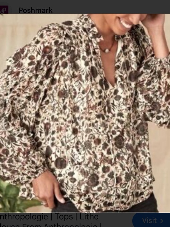 Marie Oliver Tops - Marie Oliver Top Womens Small Silk Blend Sheer Puff Sleeve Blouse Thistle & Vine